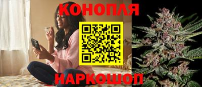 Альфа ПВП Пенза