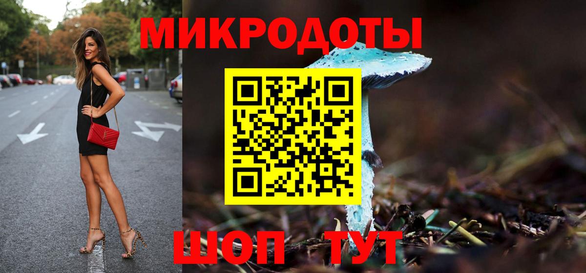 Псилоцибиновые грибы Psilocybine cubensis  Вход с VPN  хочу   Алексеевка  Псилоцибиновые грибы Psilocybe 